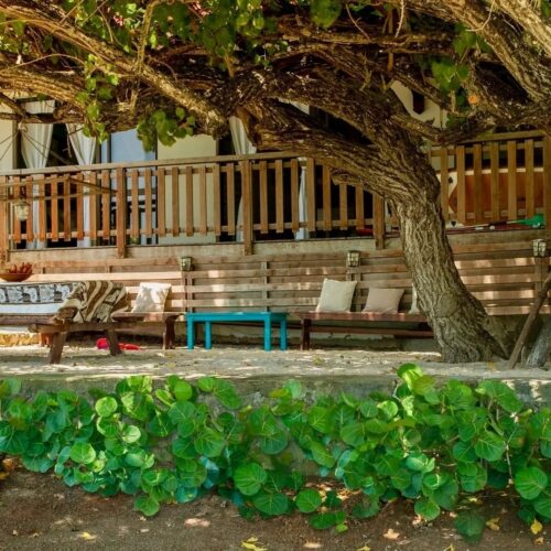 Location de logement de luxe pour vos prochaines vacances : La Sirène du Diamant, Martinique